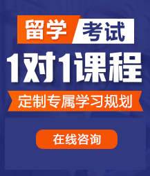 骚货，自己动爽不爽留学考试一对一精品课